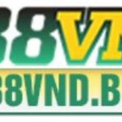888Vnd  bid's profile picture