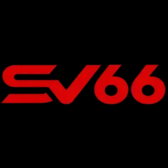 sv66 store's profile picture