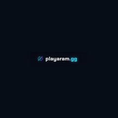 PlayAram gg's profile picture