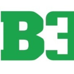 b33 black's profile picture