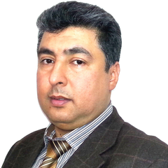 Ahed Zyoud's profile picture