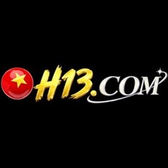 H13 H13's profile picture