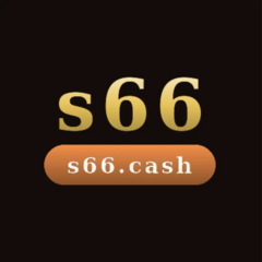 S66 Việt Nam's profile picture