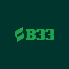 B33 COMVIP's profile picture