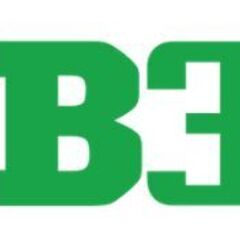 B33sf  com's profile picture