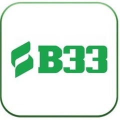 B33 Cheap's profile picture