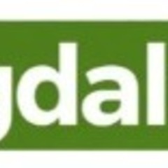 Bongdalu fast's profile picture