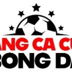 Trangcadobongda24h  com's profile picture