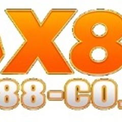 AX88 co's profile picture
