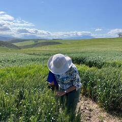 Vicki Tolmay's profile picture