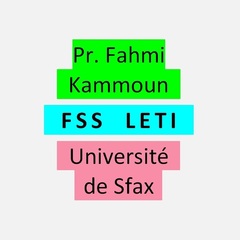 Fahmi KAMMOUN's profile picture