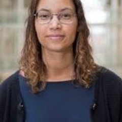 Sassa Persson's profile picture