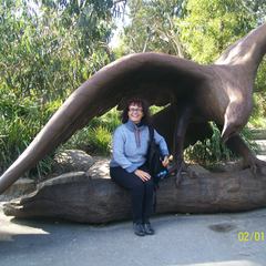 MARIA GABRIELLA BALDARELLI's profile picture