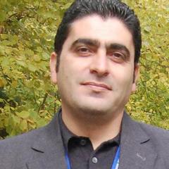 Mehdi Alipour-Hafezi's profile picture