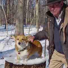 Jock Anderson's profile picture