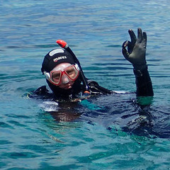 Gert Wörheide's profile picture