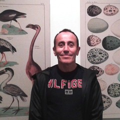 Tomas Redondo's profile picture