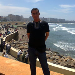 Sofien Regaieg's profile picture