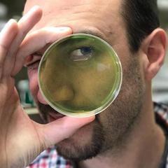 Thibault Sana's profile picture