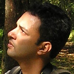 Roxy Koll's profile picture