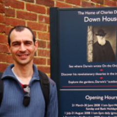 Felipe Faria's profile picture