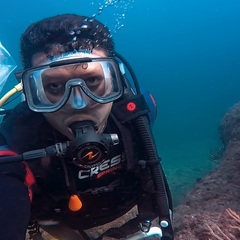 David Paz-García's profile picture