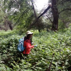 Milica Zlatkovic's profile picture