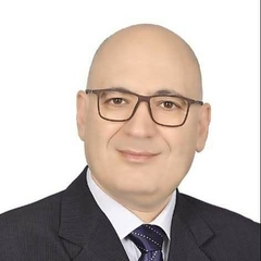 Nady Fathy's profile picture