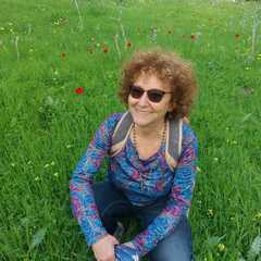 Orly Benjamin's profile picture