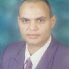 Ashraf Zenkour's profile picture
