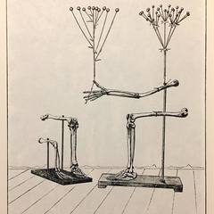 Andrea Brighenti's profile picture