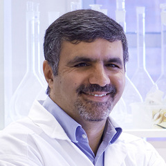 Mohammad Taherzadeh's profile picture