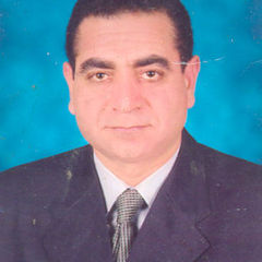 youssef Mahmoud's profile picture