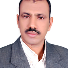 Kamal El-Saady's profile picture