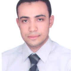 Walid Haikal's profile picture