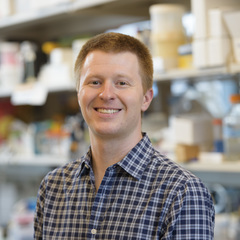 Matthew Wipperman's profile picture