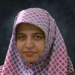 Sima Noghanian's profile picture