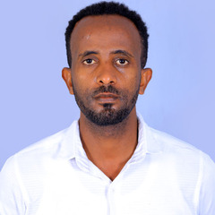 Mulugeta Shimbre's profile picture