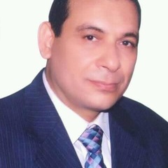 Mohamed El Nady's profile picture