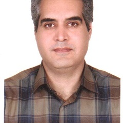 Mohammad Sadegh Allahyari's profile picture