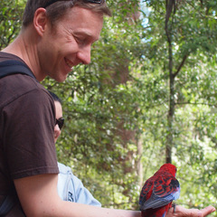 Tim Taylor's profile picture