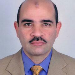 Mohamed Abdelgawad's profile picture