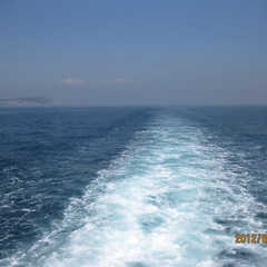 Vesen atiroğlu's profile picture