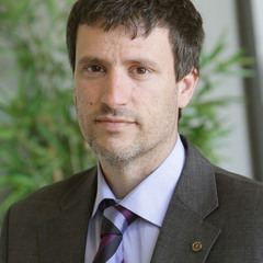 Francisco Falcone's profile picture