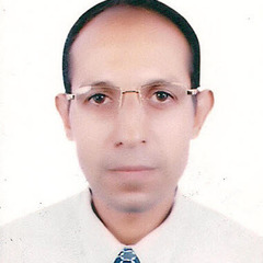 Yasser El-Nadi's profile picture