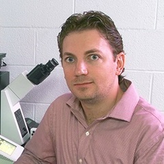 Umut Gurkan's profile picture