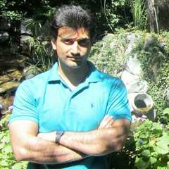 Majid Taghipour's profile picture