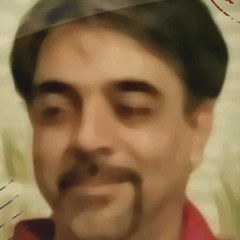 Reza Mirfakhraie 's profile picture