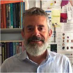 Vincenzo Rochira's profile picture