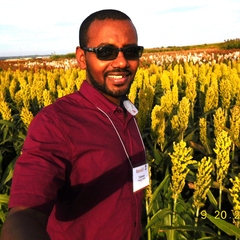 Tadesse Teferra's profile picture